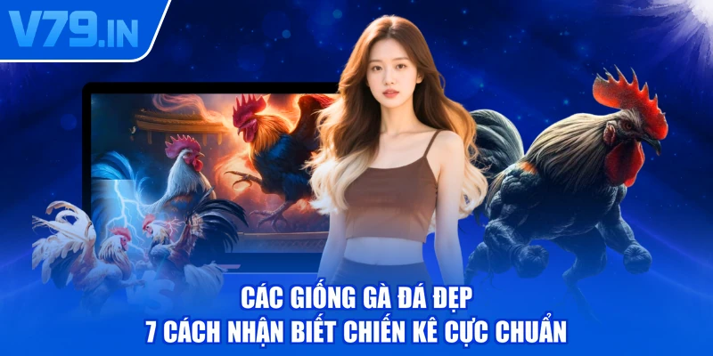 Các Giống Gà Đá Đẹp - 7 Cách Nhận Biết Chiến Kê Cực Chuẩn