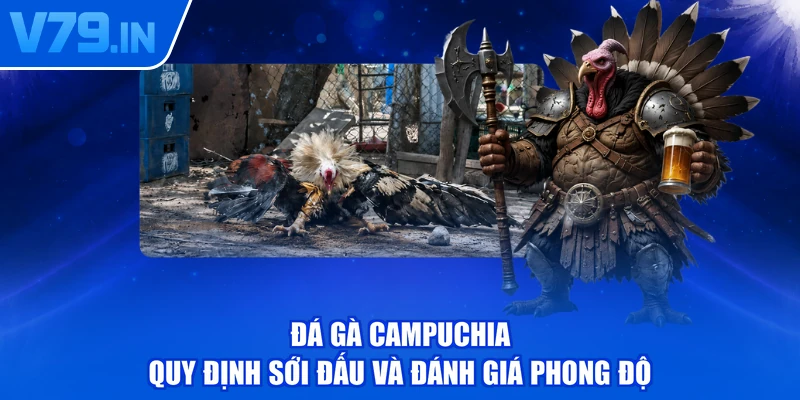 Đá Gà Campuchia - Quy Định Sới Đấu Và Đánh Giá Phong Độ