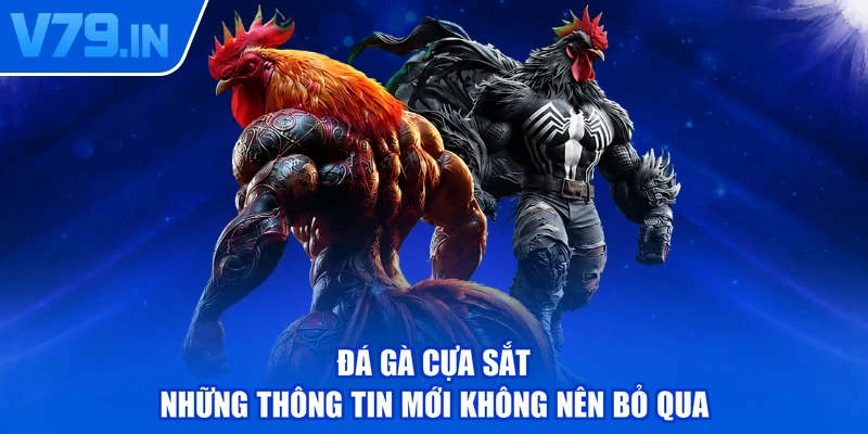 Đá Gà Cựa Sắt - Những Thông Tin Mới Không Nên Bỏ Qua