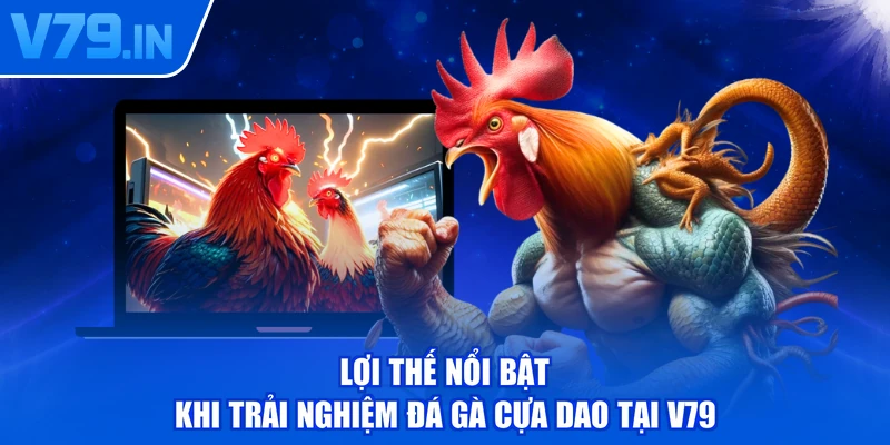 Lợi thế nổi bật khi trải nghiệm đá gà cựa dao tại V79